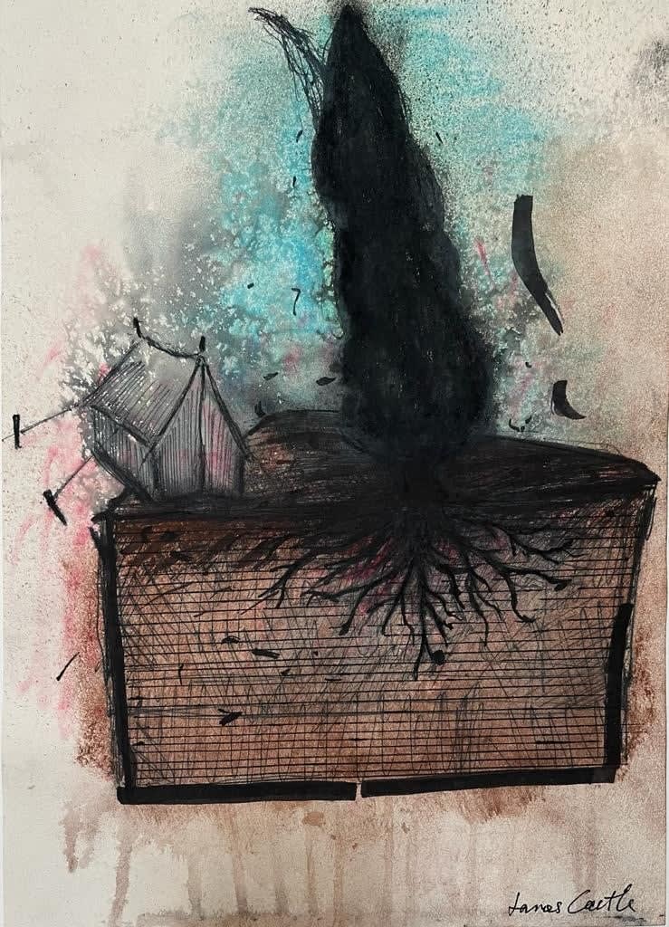 James Castle RSA, Turquoise Storm