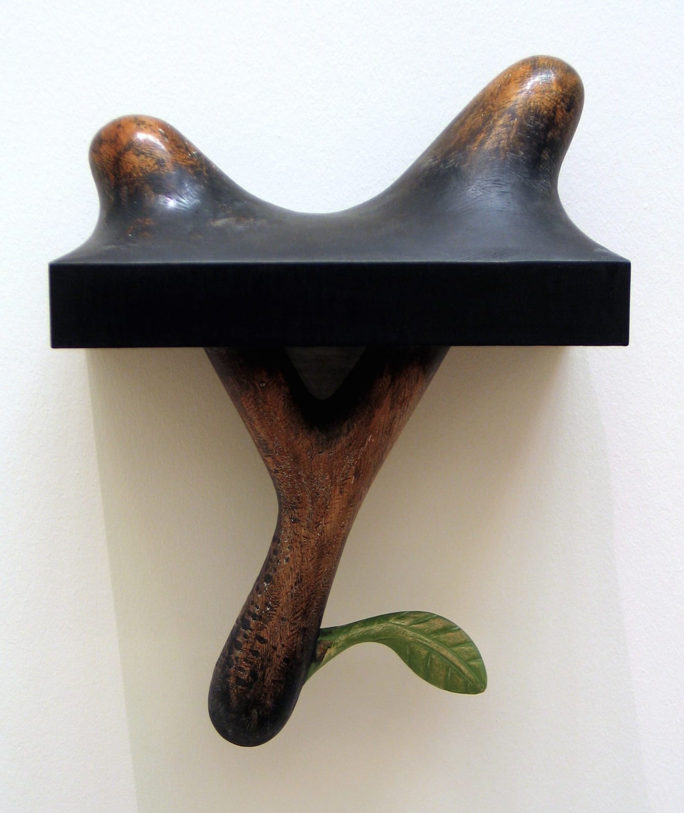 James Castle RSA, Catapult