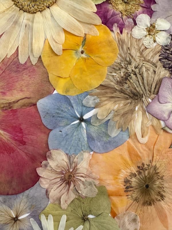 Lorna Freytag, Floral Soul, 2025