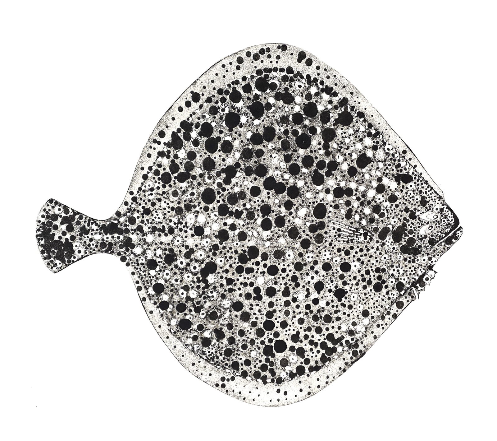 Stuart MacKenzie RSA, Turbot II