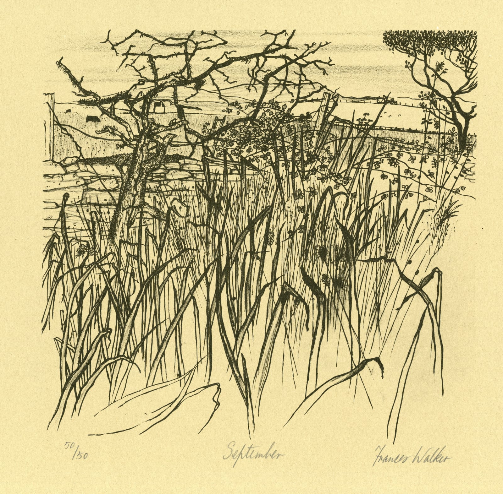 Frances Walker RSA, Untitled (September, Peacock Printmakers Calendar, 1976), 1976