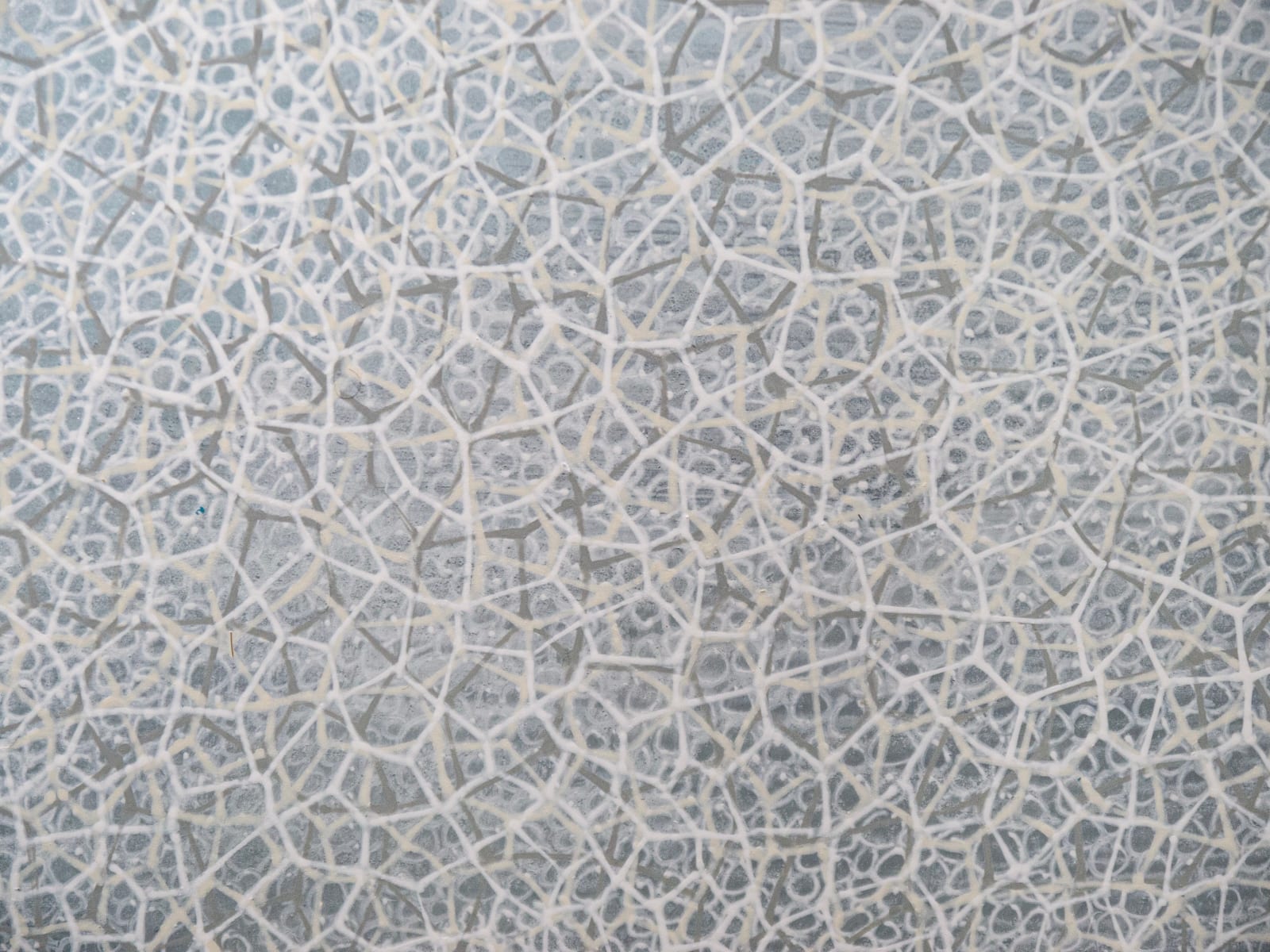 Samantha Clark, Haar, 2024