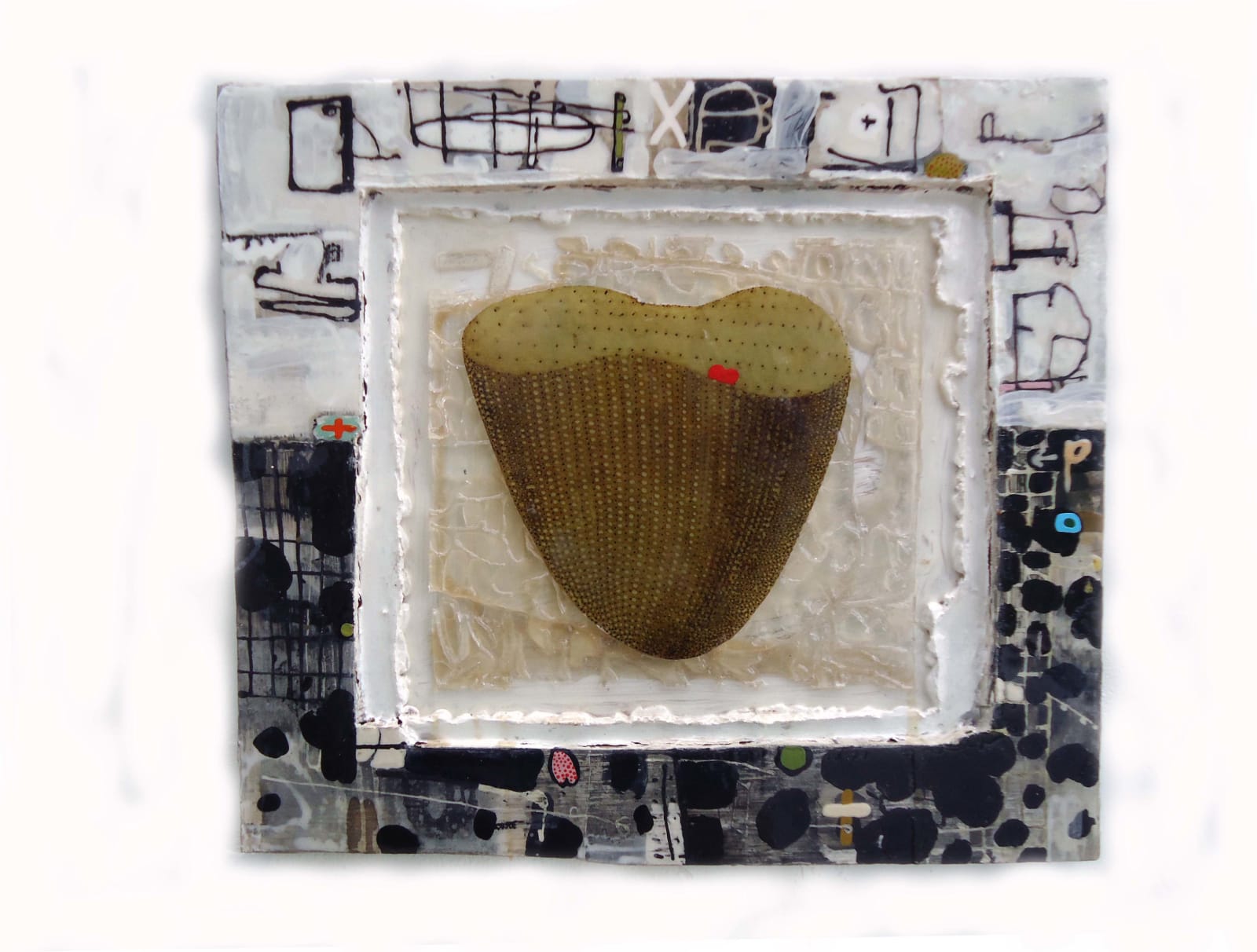 Lennox Dunbar RSA, Succulent