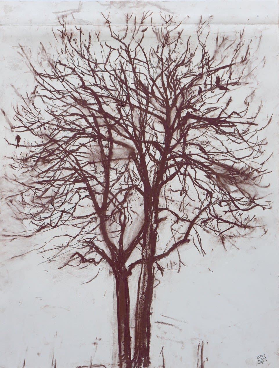 Kate Downie RSA, Winter Ash (Ceres) , 2021
