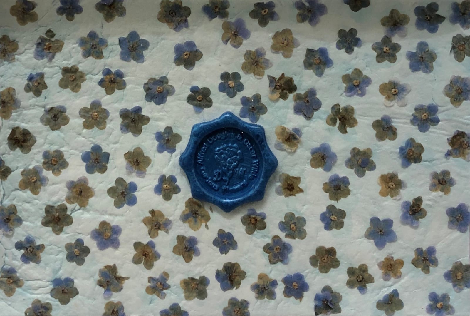 Catriona Clark, Curious Flowers: Forget Me Not #1, 2024