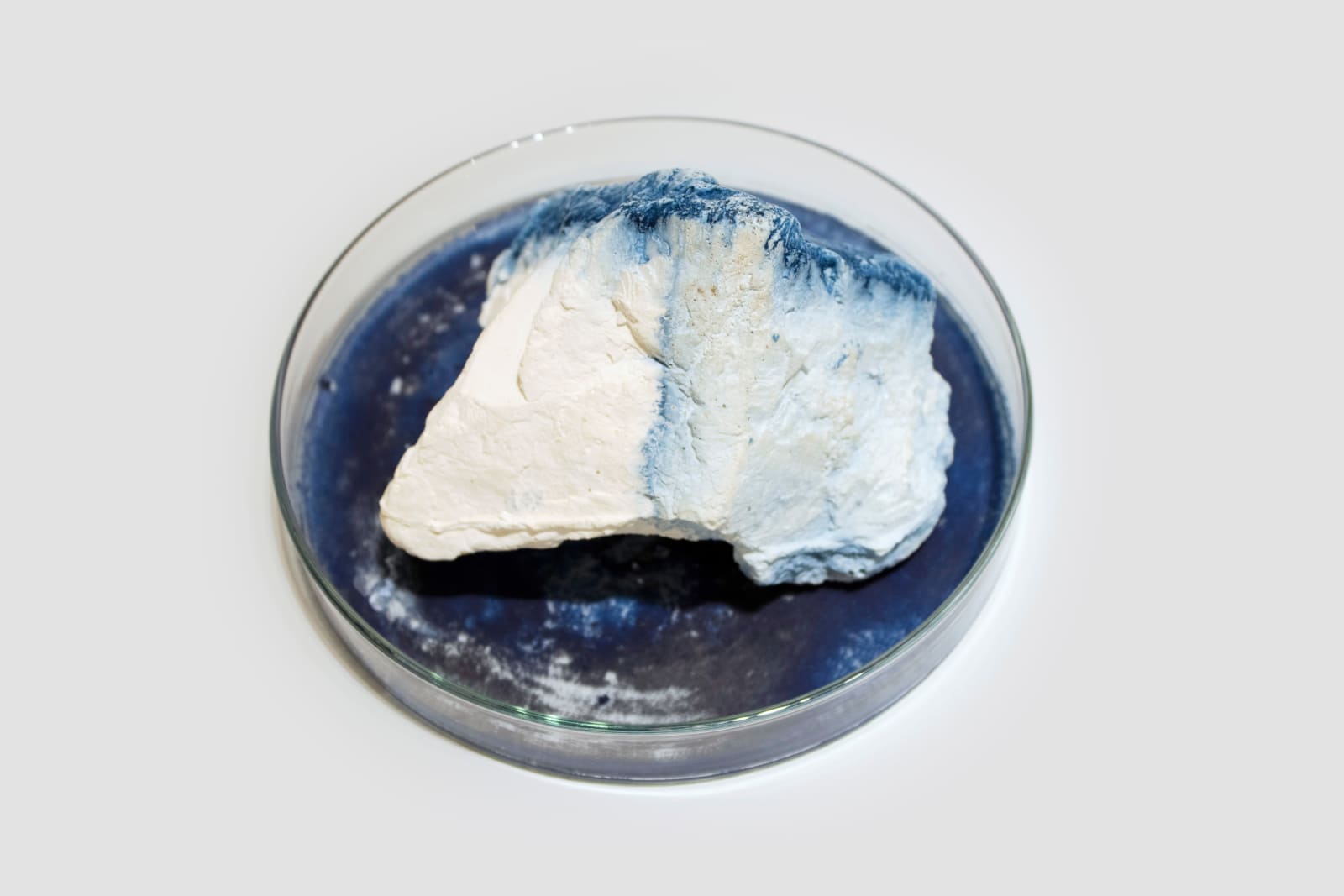 Anne Bevan RSA (Elect) + Mark Edmonds, all manner of singular forms (Erratic 1), 2024