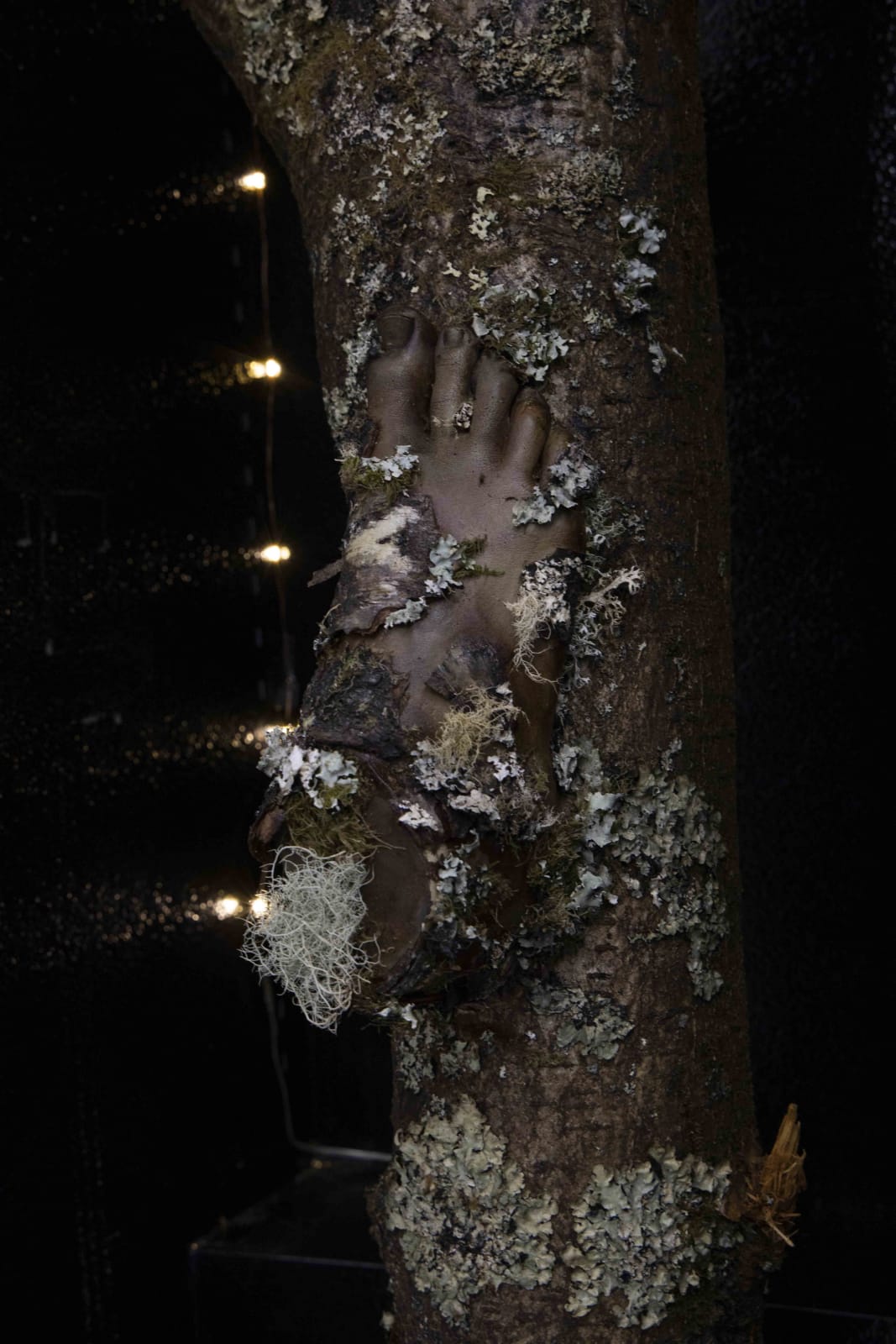 Rachy McEwan, Sympoiesis, 2021