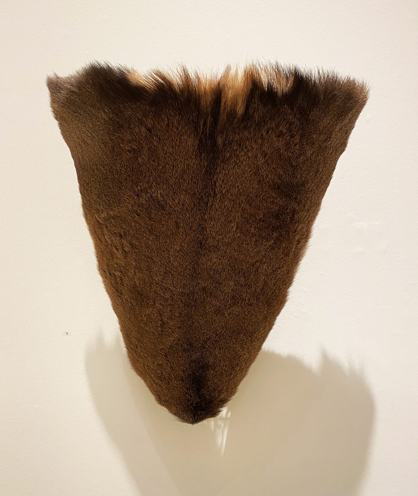 Zuleika Connolly-Jones, Shield III, 2021/22