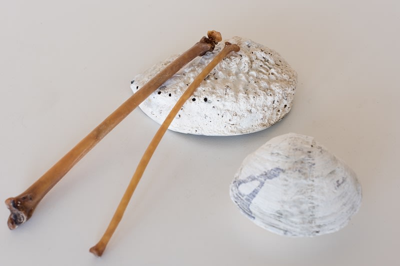 Jeanne Cannizzo, Abalone Rasp with Seabird Bone Sticks, 2019