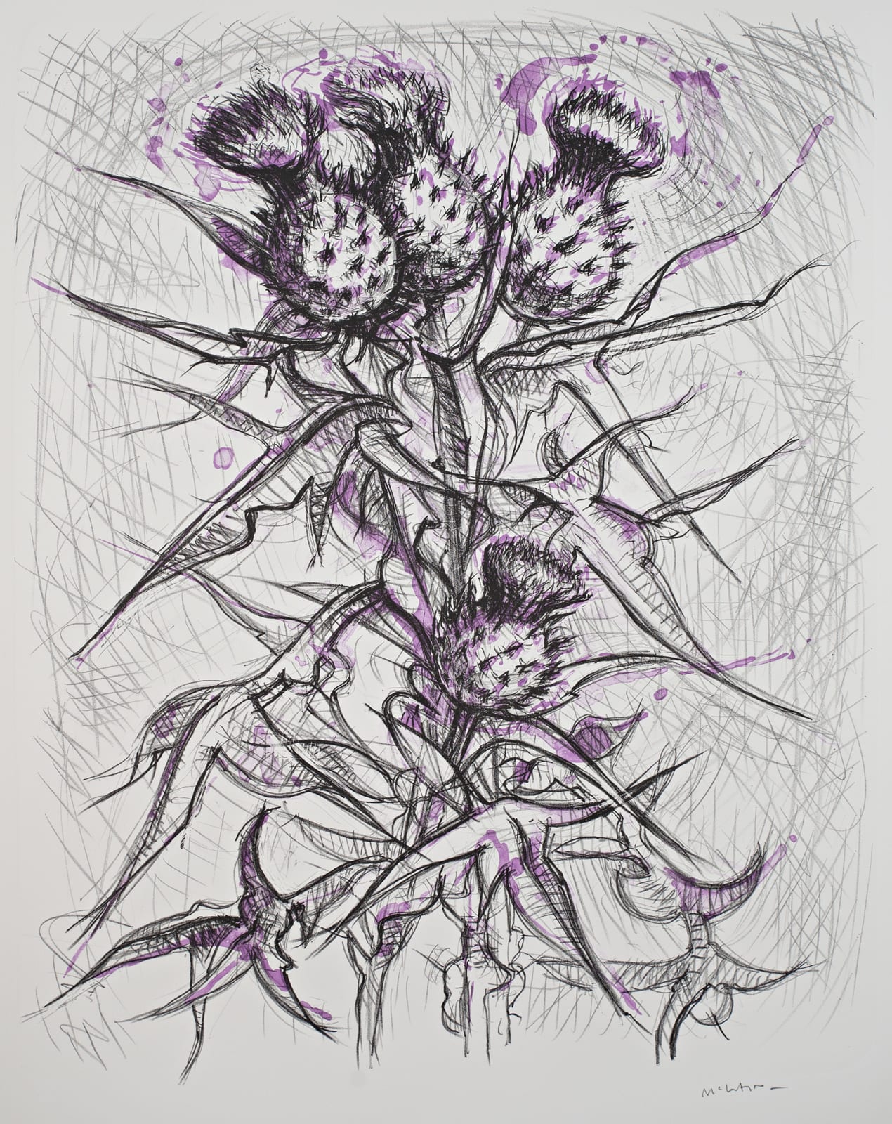 Keith McIntyre RSA, Winter Thistles and Raspberry Juice