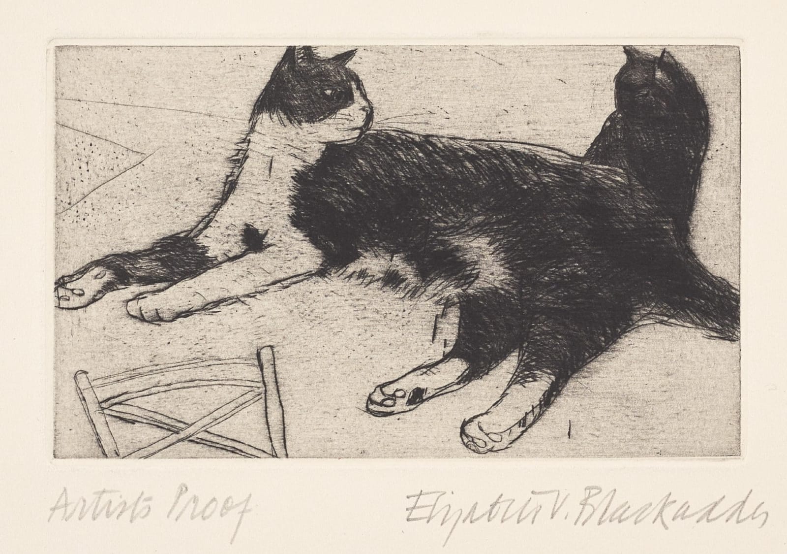 Elizabeth Blackadder RSA, Fred, 2000