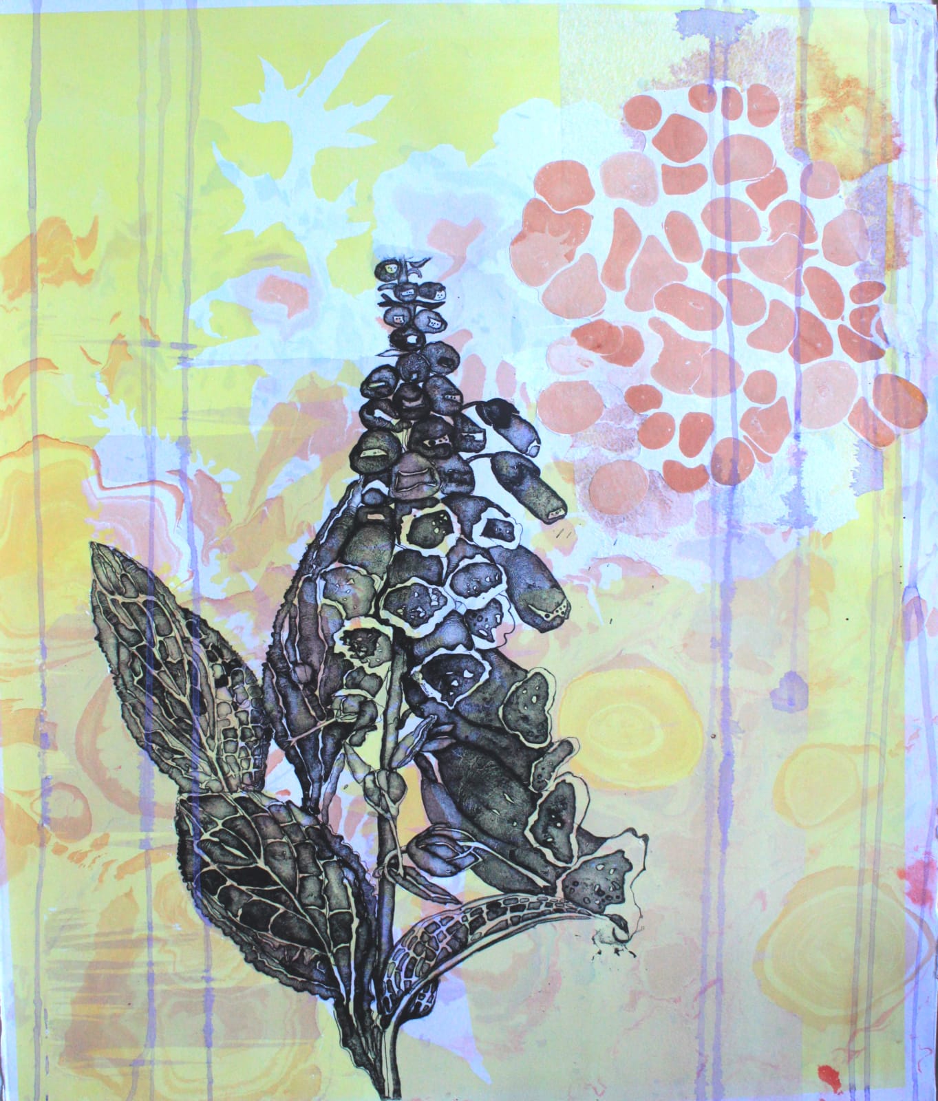 Elspeth Lamb RSA, Foxglove
