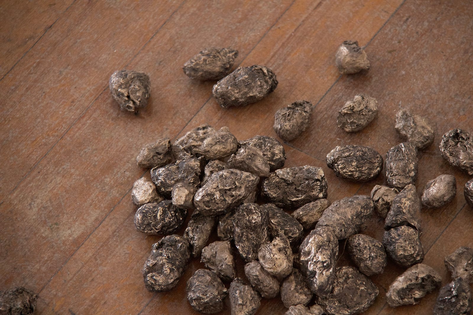 Iona Brown, Digest, 2022