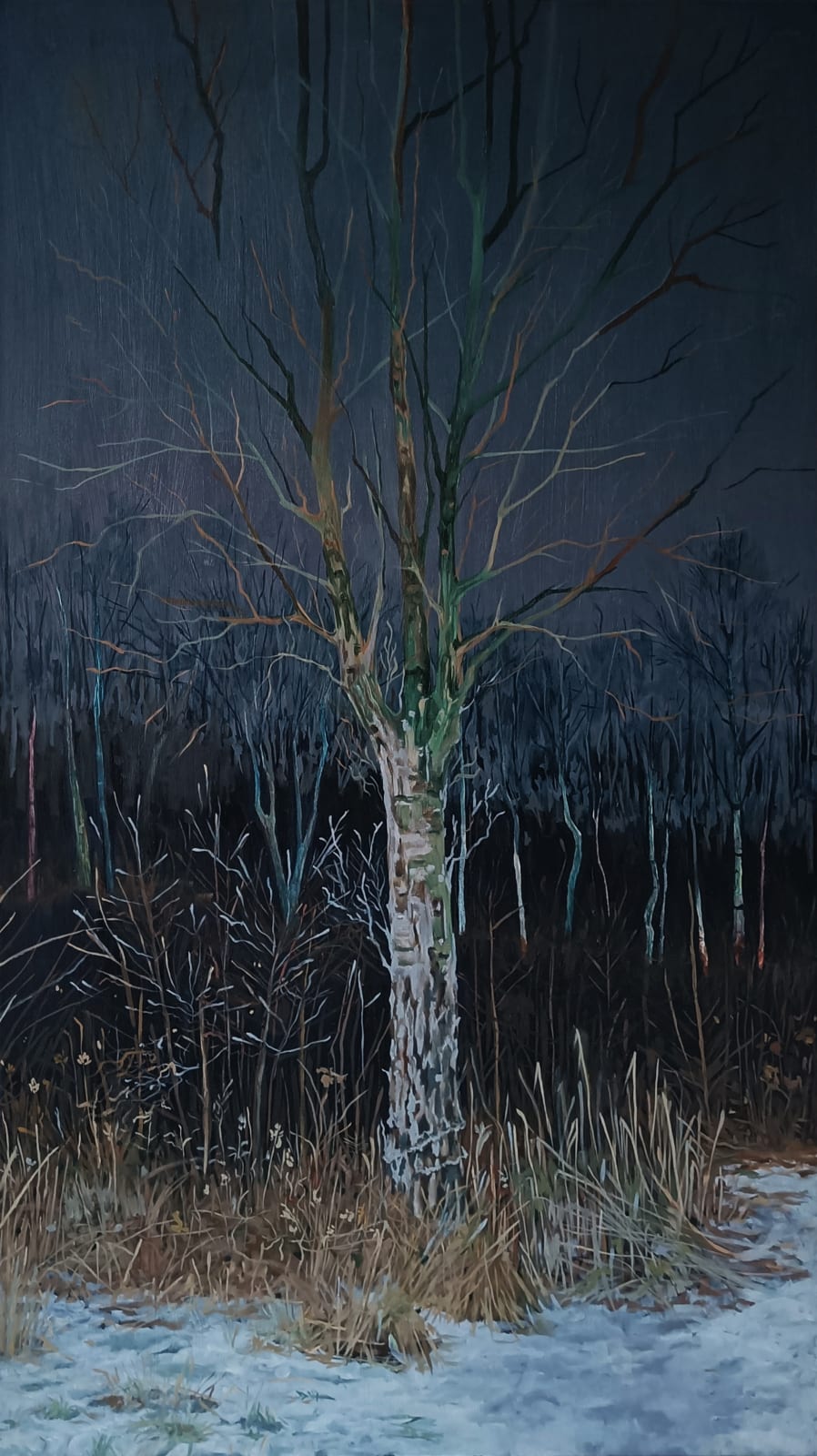 Fanny Arnesen, Nattfrost