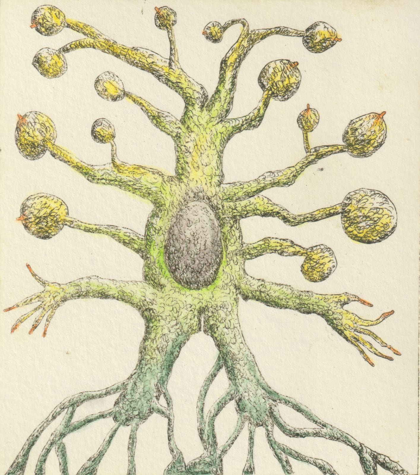 Flore Gardner, Hysterical Tree, 2019