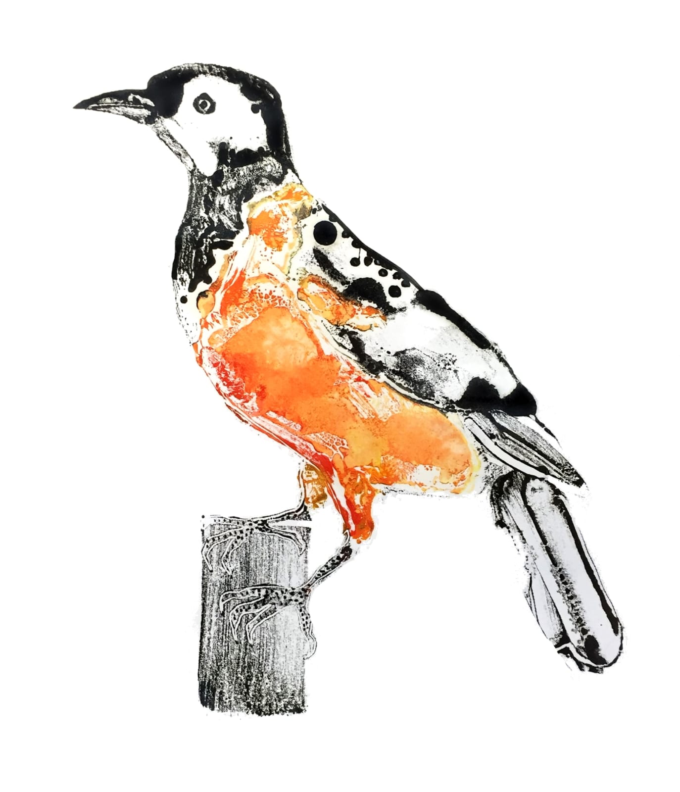 Stuart MacKenzie RSA, Troupial IV