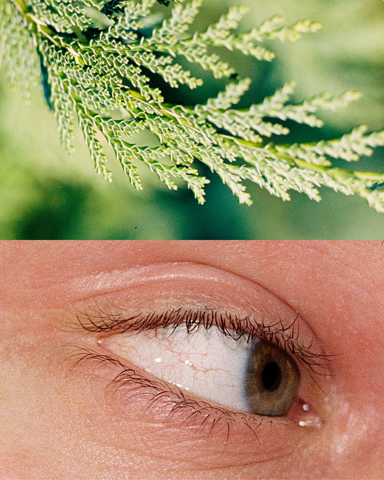 Corrie Jennison, Vessels, 2024