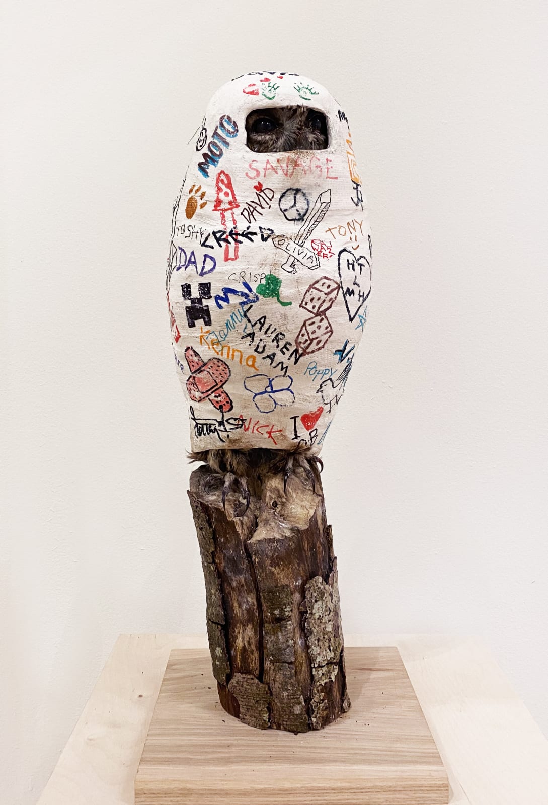 Edward Summerton RSA and Hetty Thompson, Broken Owl