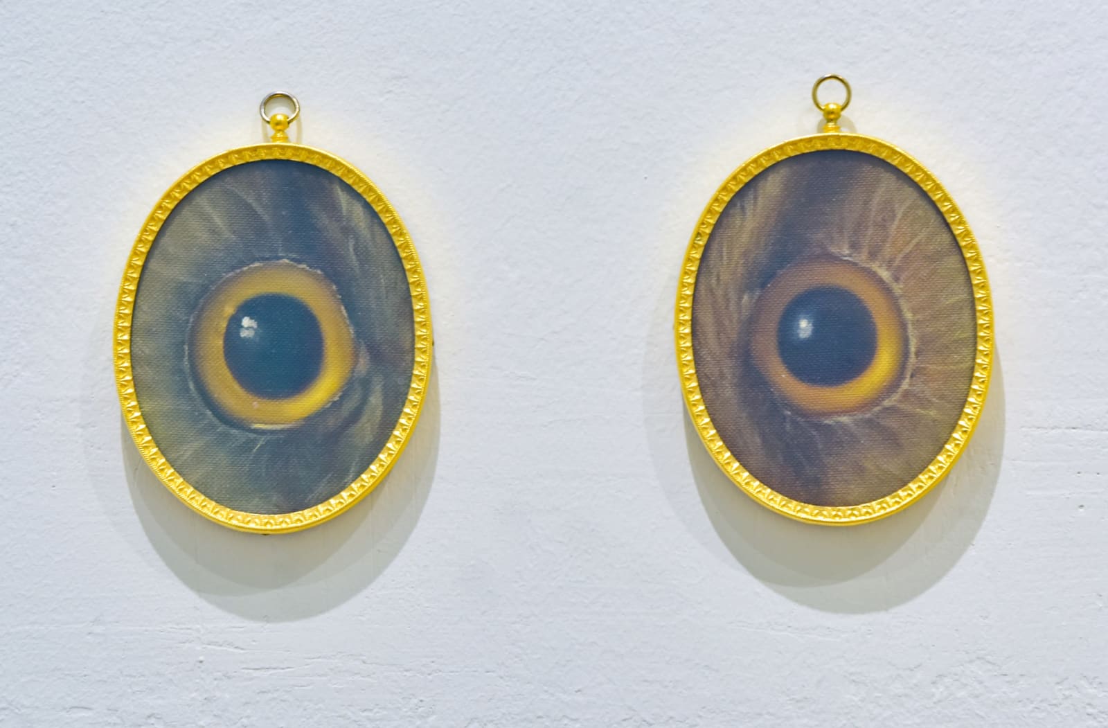 Derrick Guild RSA, Night vision