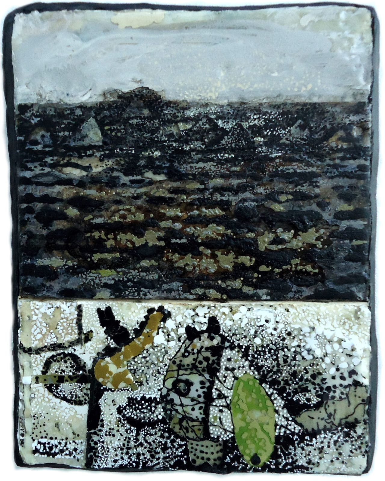 Lennox Dunbar RSA, West Coast Coral Beach, 2020