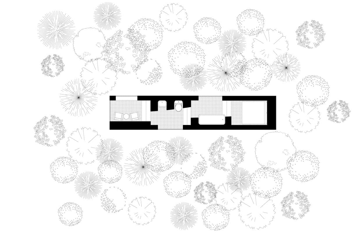 Xinyu Yan, Casa Paredita, 2021