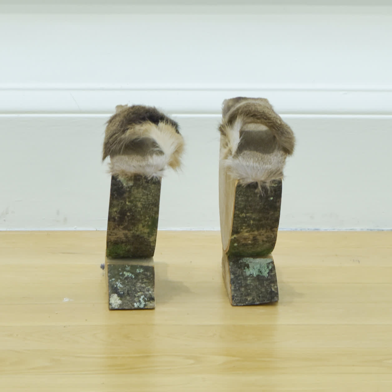 Zuleika Connolly-Jones, Rocking Shoes, 2021