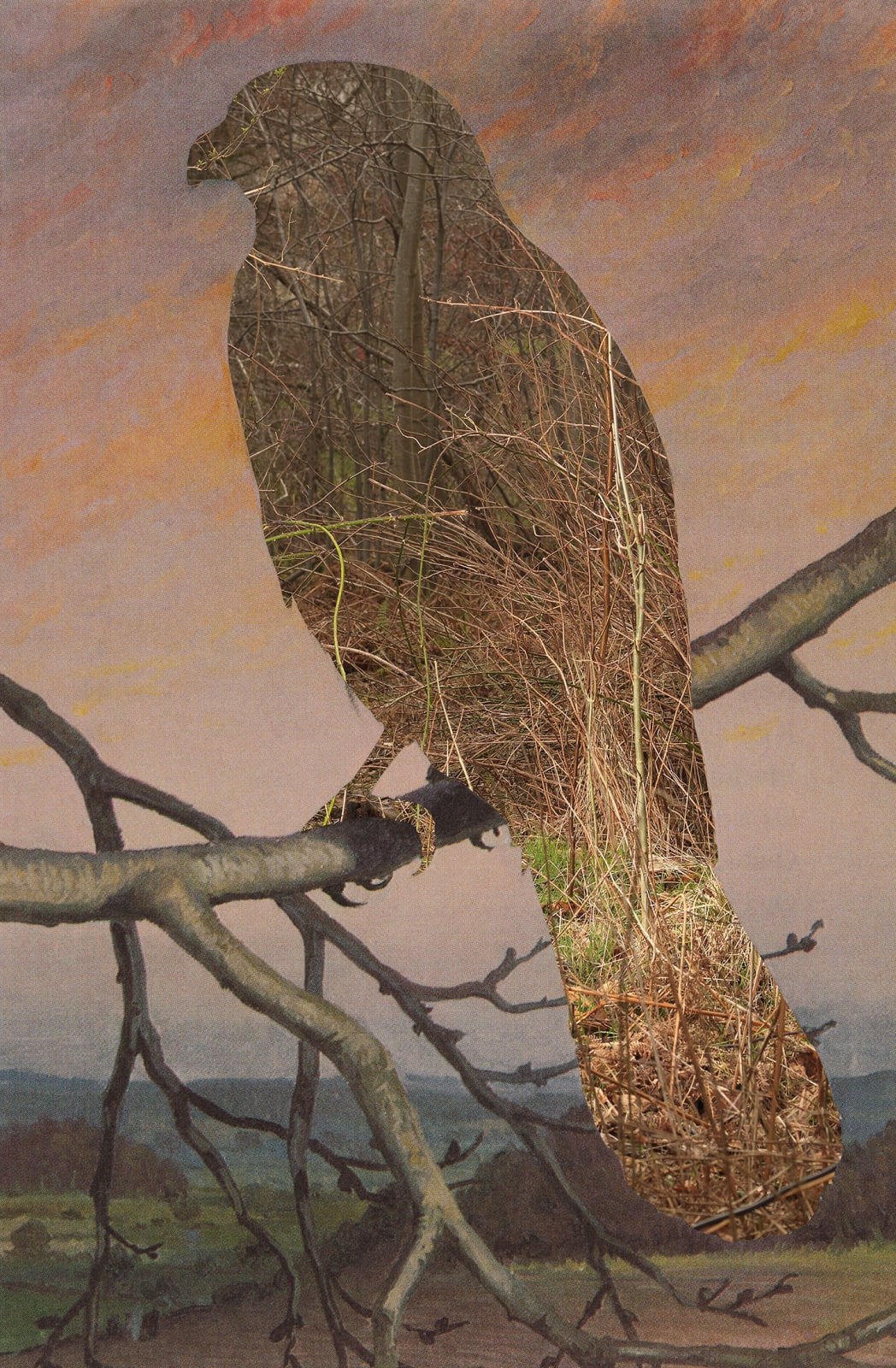 Wendy McMurdo RSA, Lost Birds (iv)