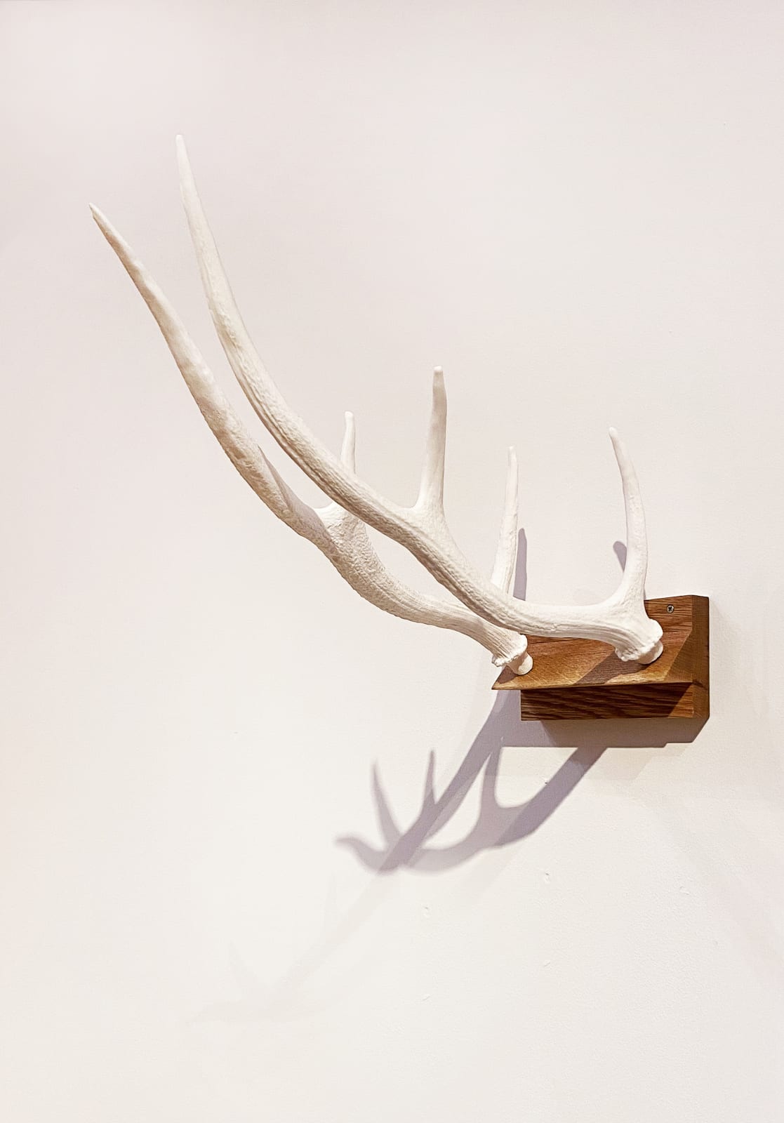 Rosie Trevill, Placeholder for a Power of Sorts I