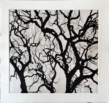 Nate Cassie, Untitled (SAMA III), 2011