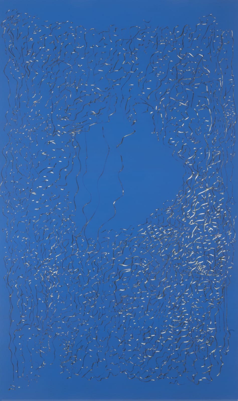 Cecilia Biagini, Agua Viva, 2018
