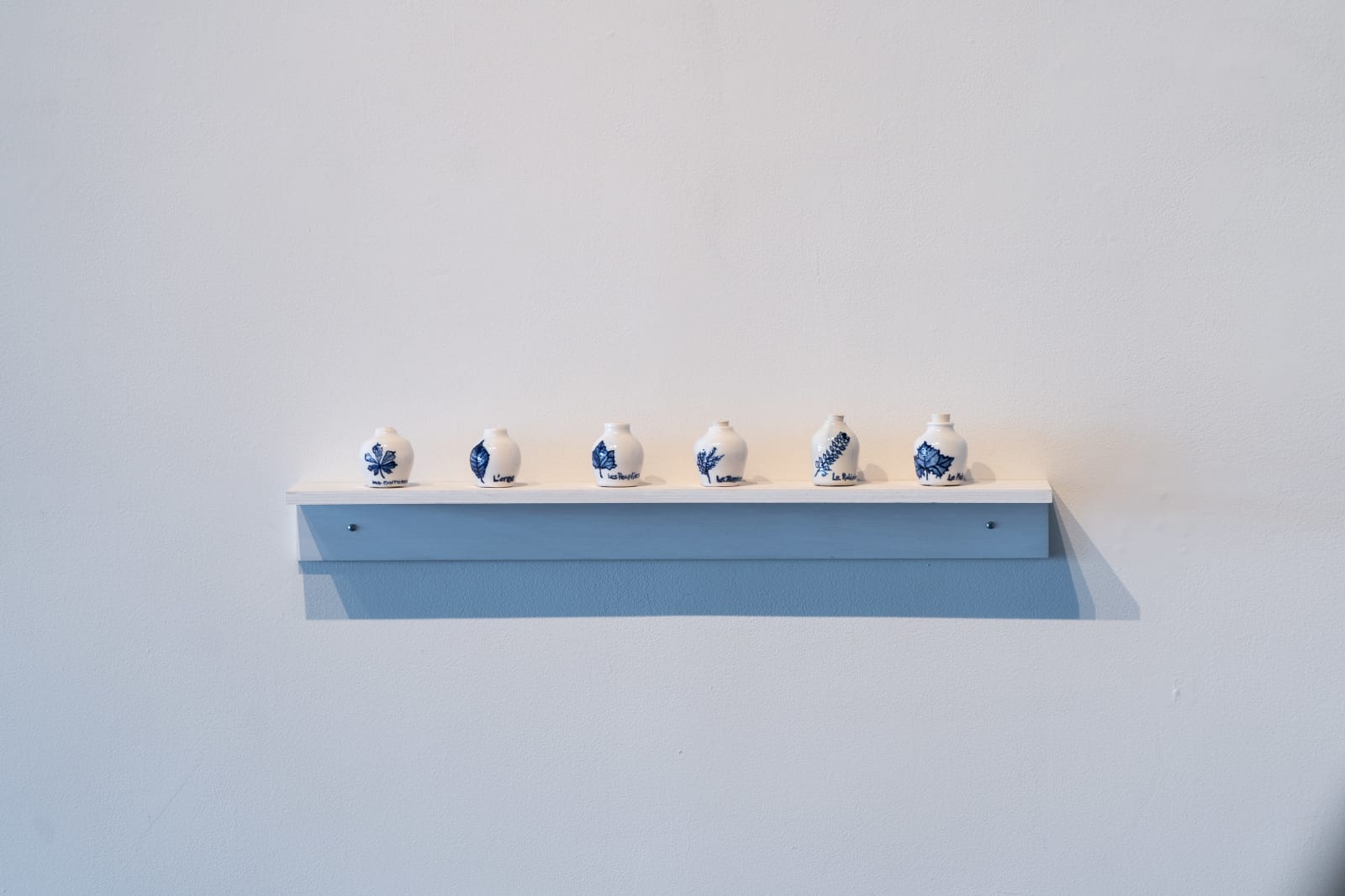 Nate Cassie, L’Orme (Elm), La Place Saint Gervais, 2022