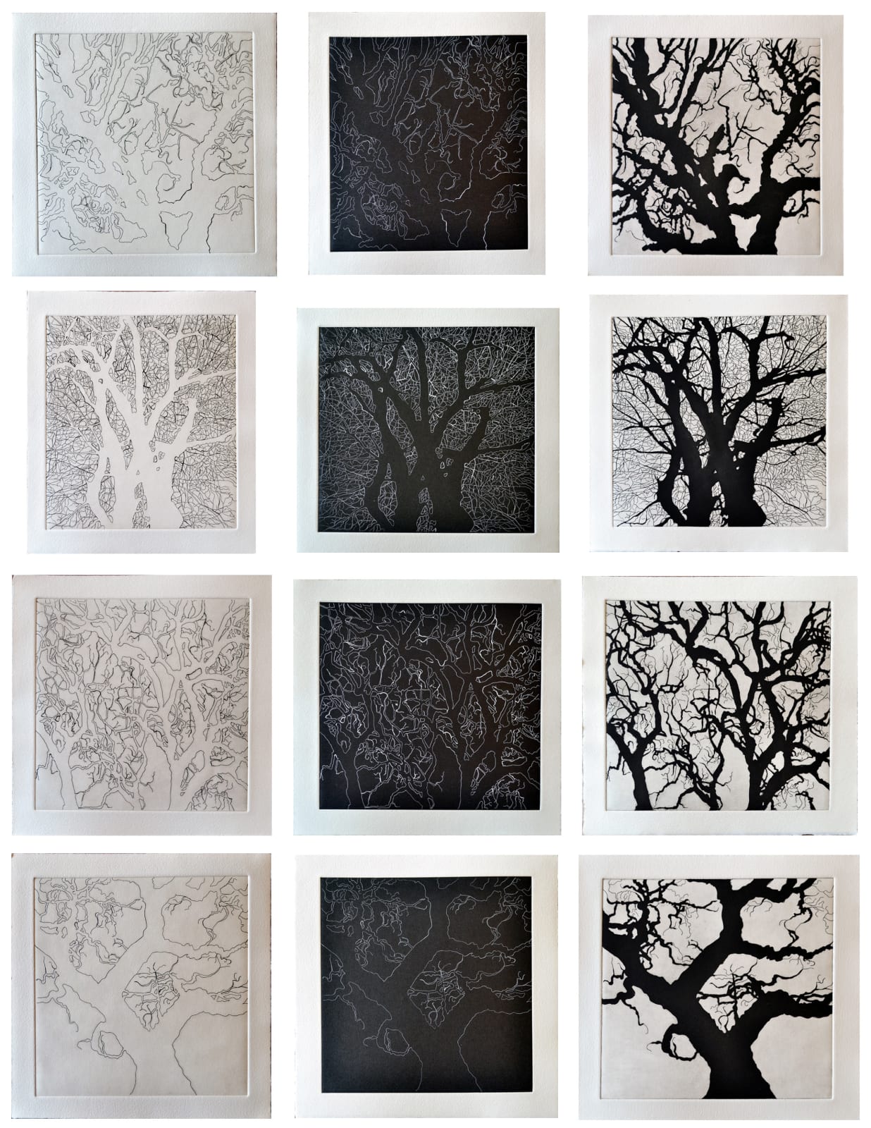 Nate Cassie, Four Trees - Texas Full set of 12, 2011