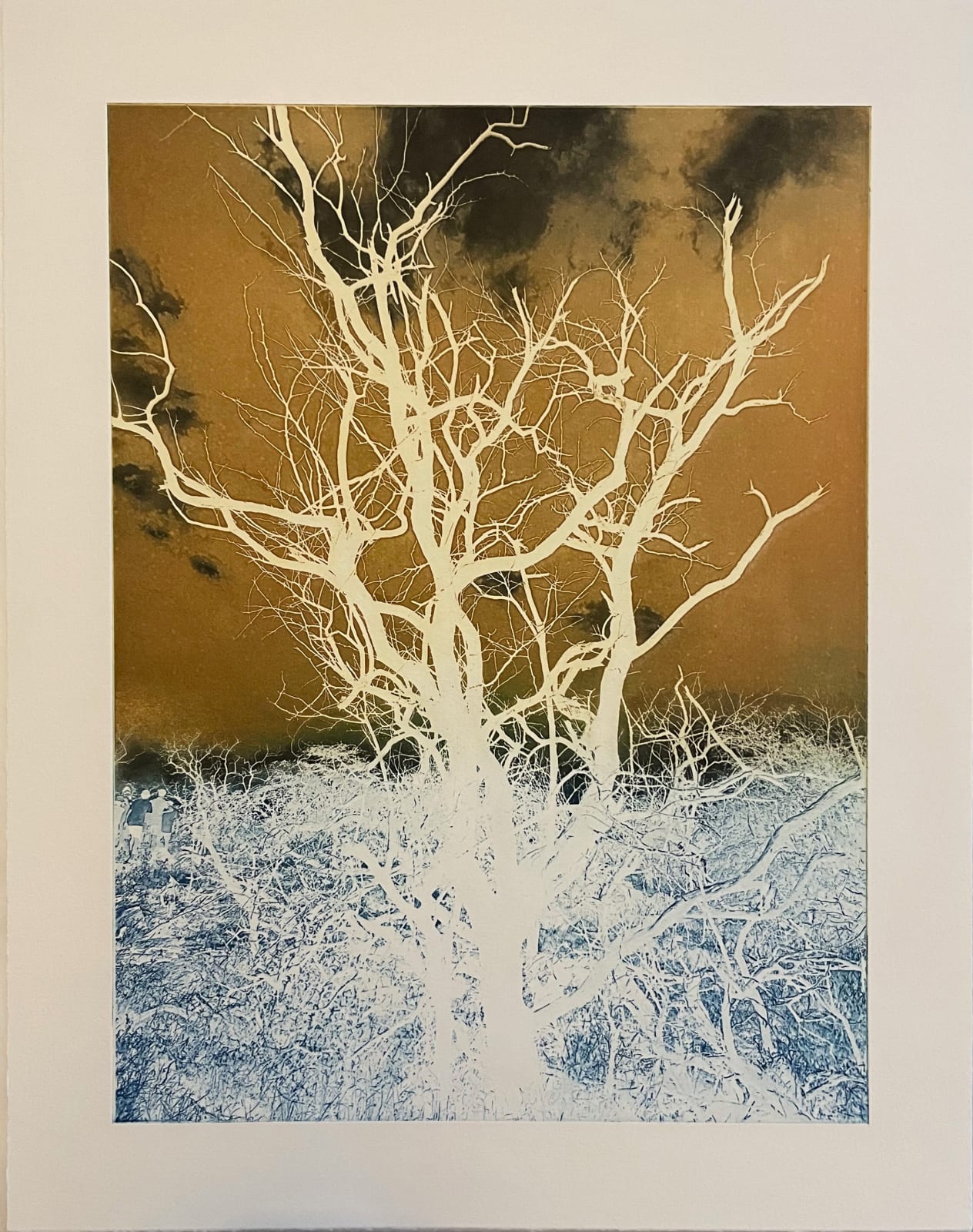 Nate Cassie, Holoholokai Inversion, 2023