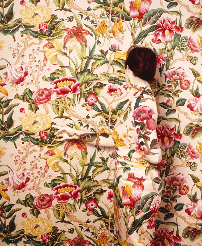 Cecilia Paredes, Paradise, 2010