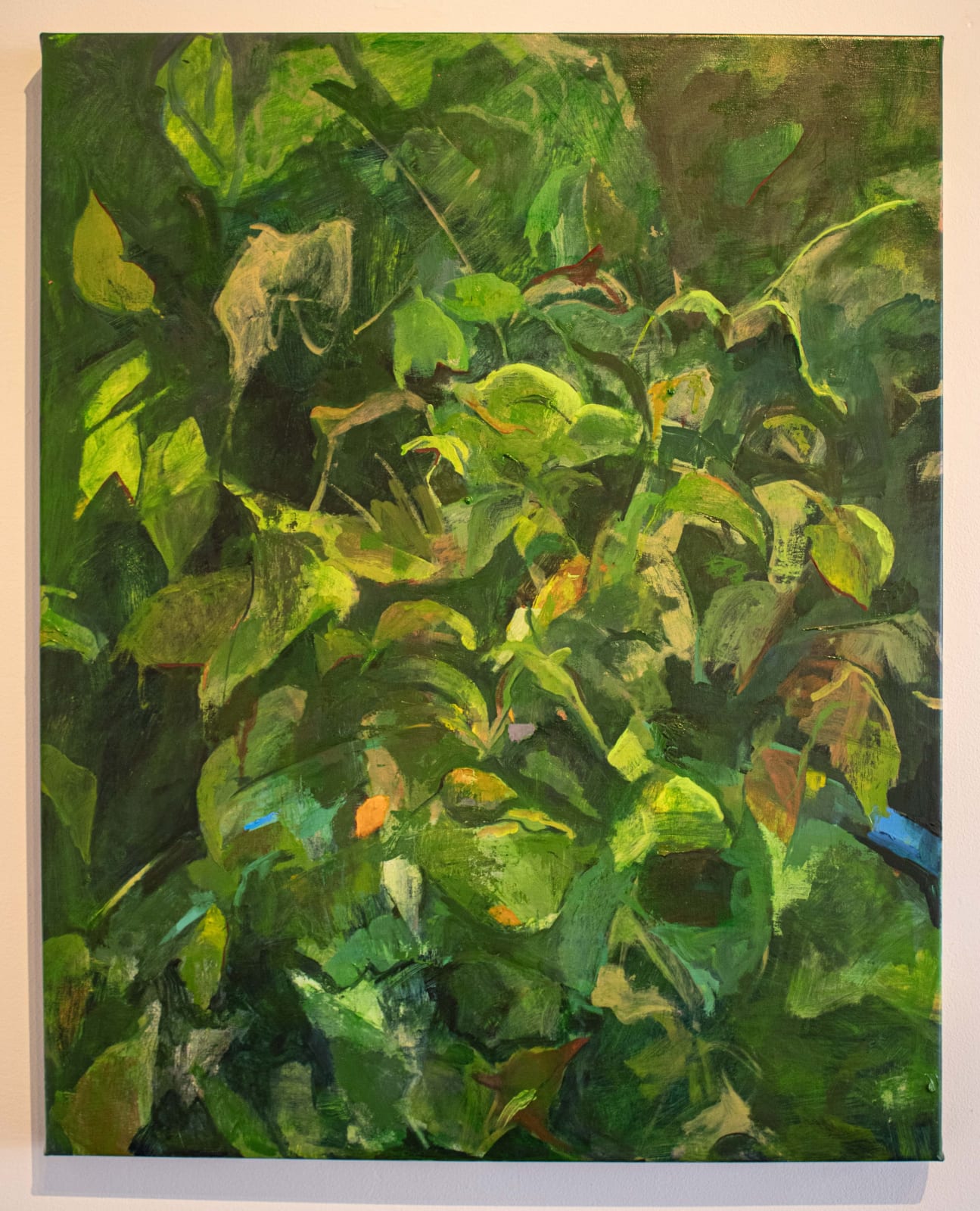 Jennifer Agricola Mojica, Dislocated, 2025