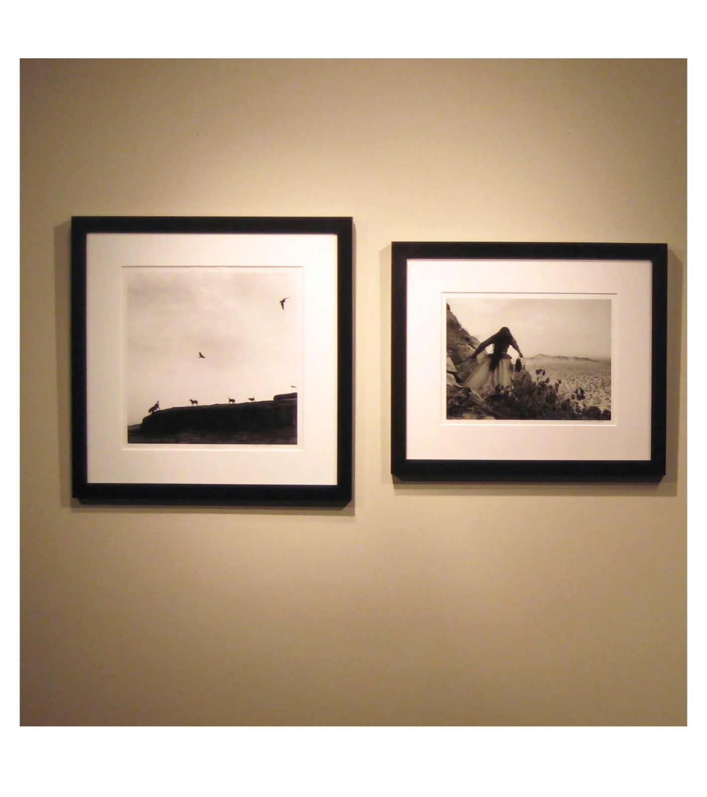 Graciela Iturbide, Perros Perdidos, Rajasthan, India, 1998