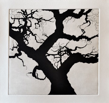 Nate Cassie, Untitled (Olmos Park III), 2011