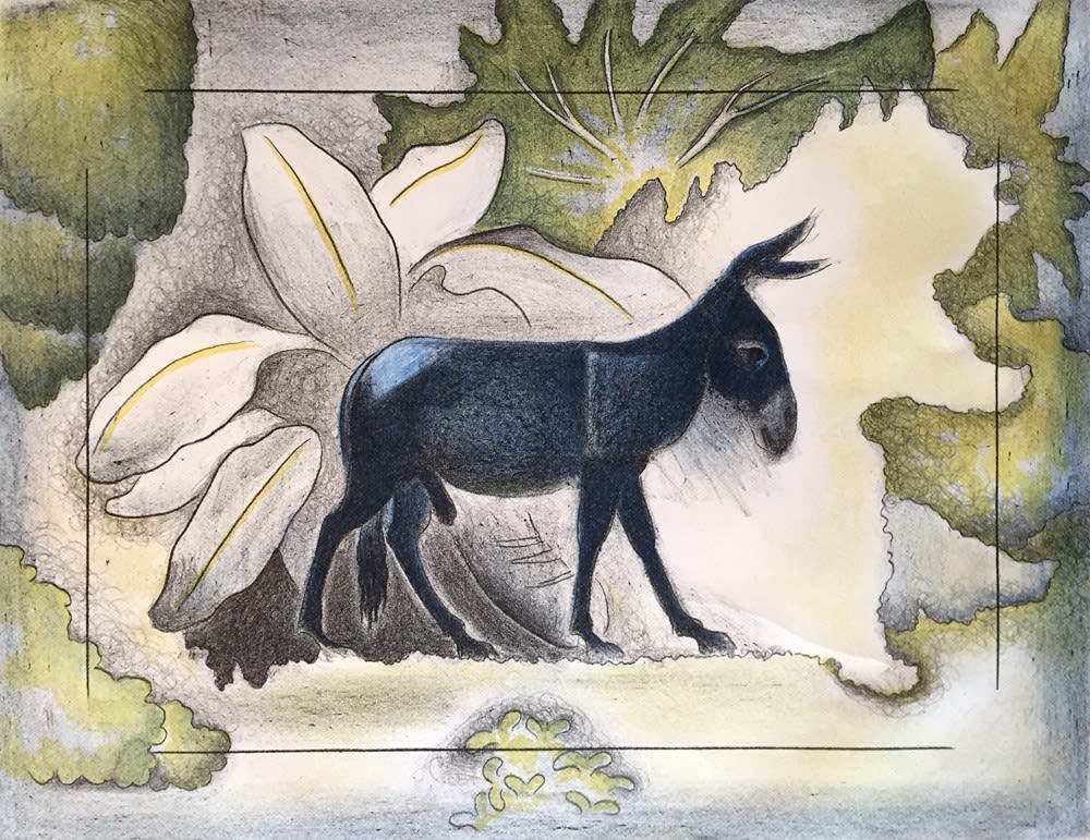 Shinzaburo Takeda, Epoca Soñada, 1995