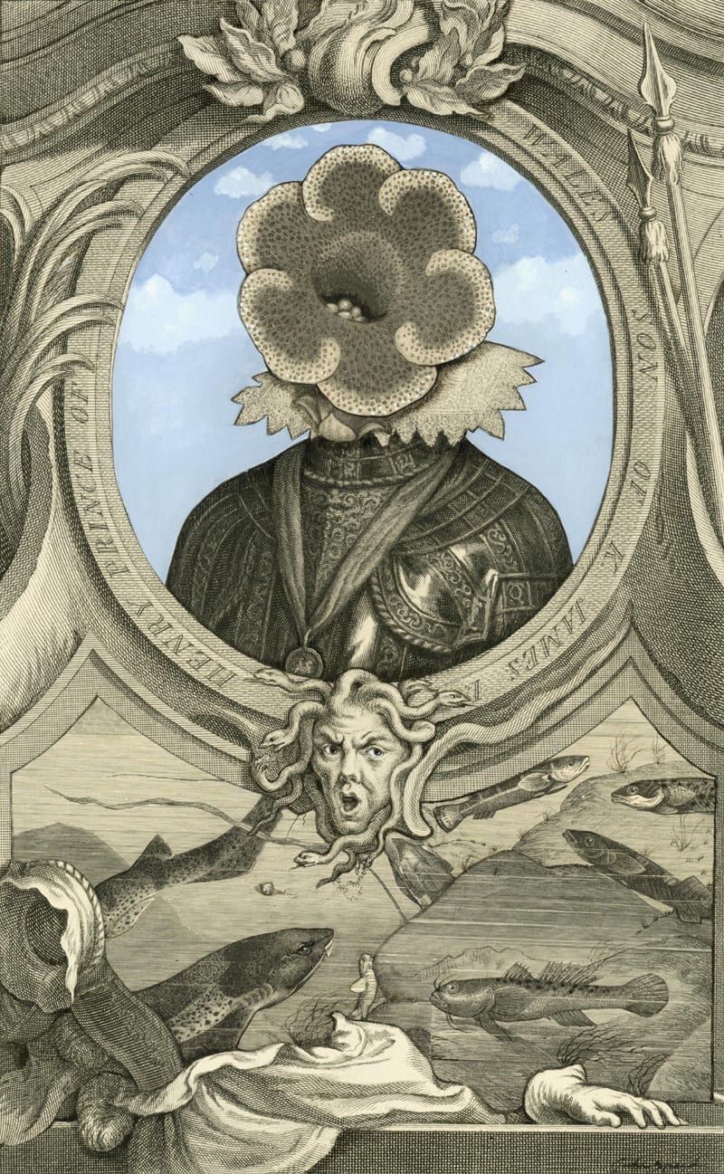 Julie Speed, The Prince, 2012