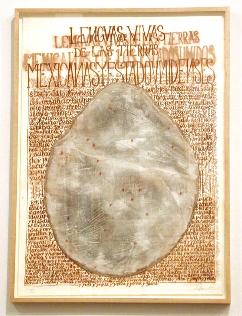 Laura Anderson Barbata, Ni todos los que son están, ni todos están son los que están son., 2001