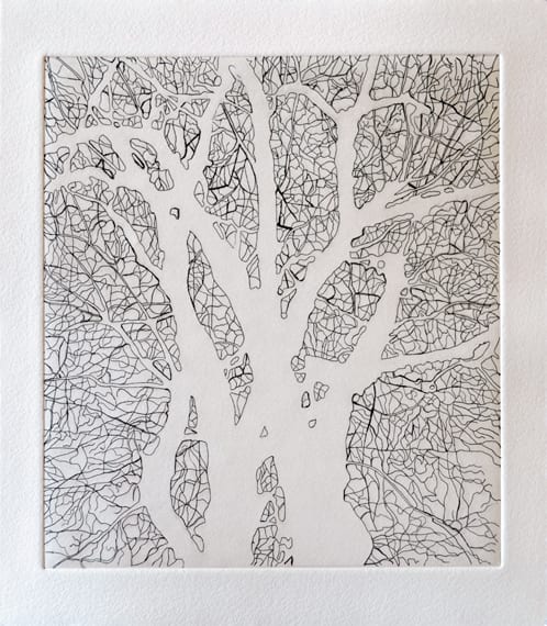 Nate Cassie, Untitled (SSA I), 2011