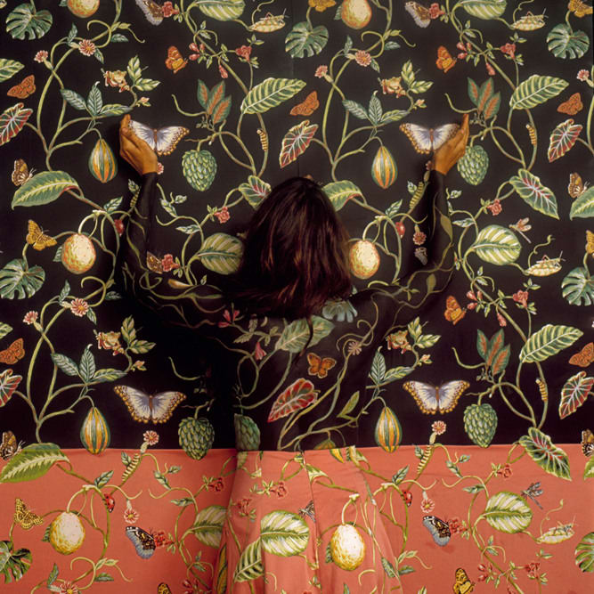 Cecilia Paredes, Forbidden Fruit, 2015
