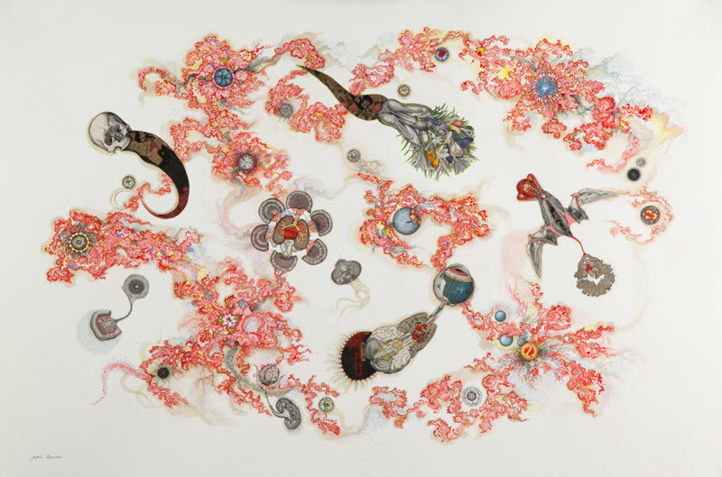 Julie Speed, Death and the Maiden, 2014