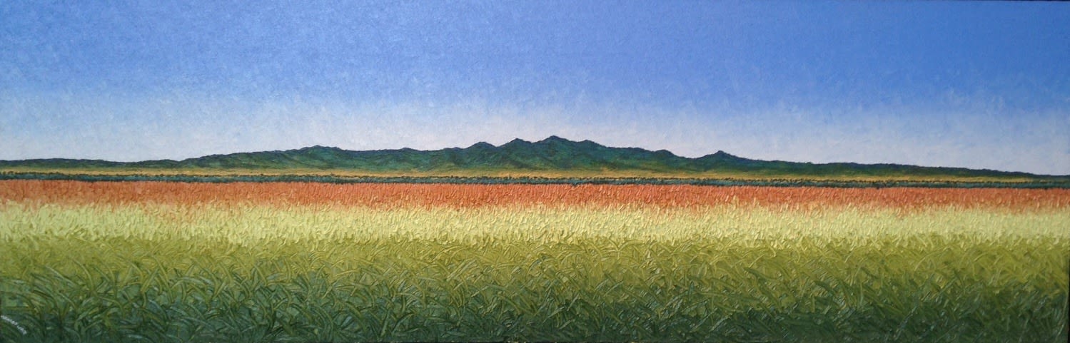 Abelardo Lopez, Sembrado de Sorgo, 2012