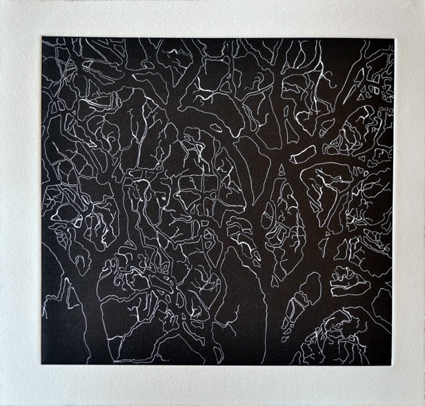 Nate Cassie, Untitled (SAMA II), 2015