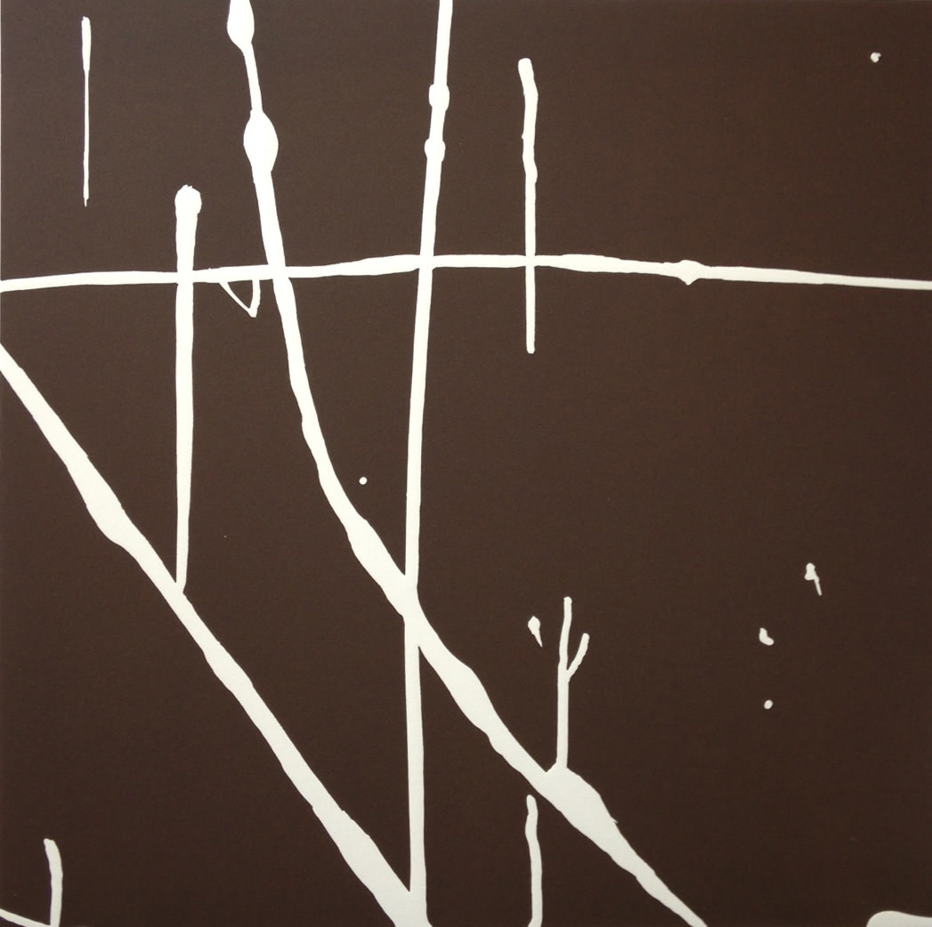 Nate Cassie, Flora I, 2005