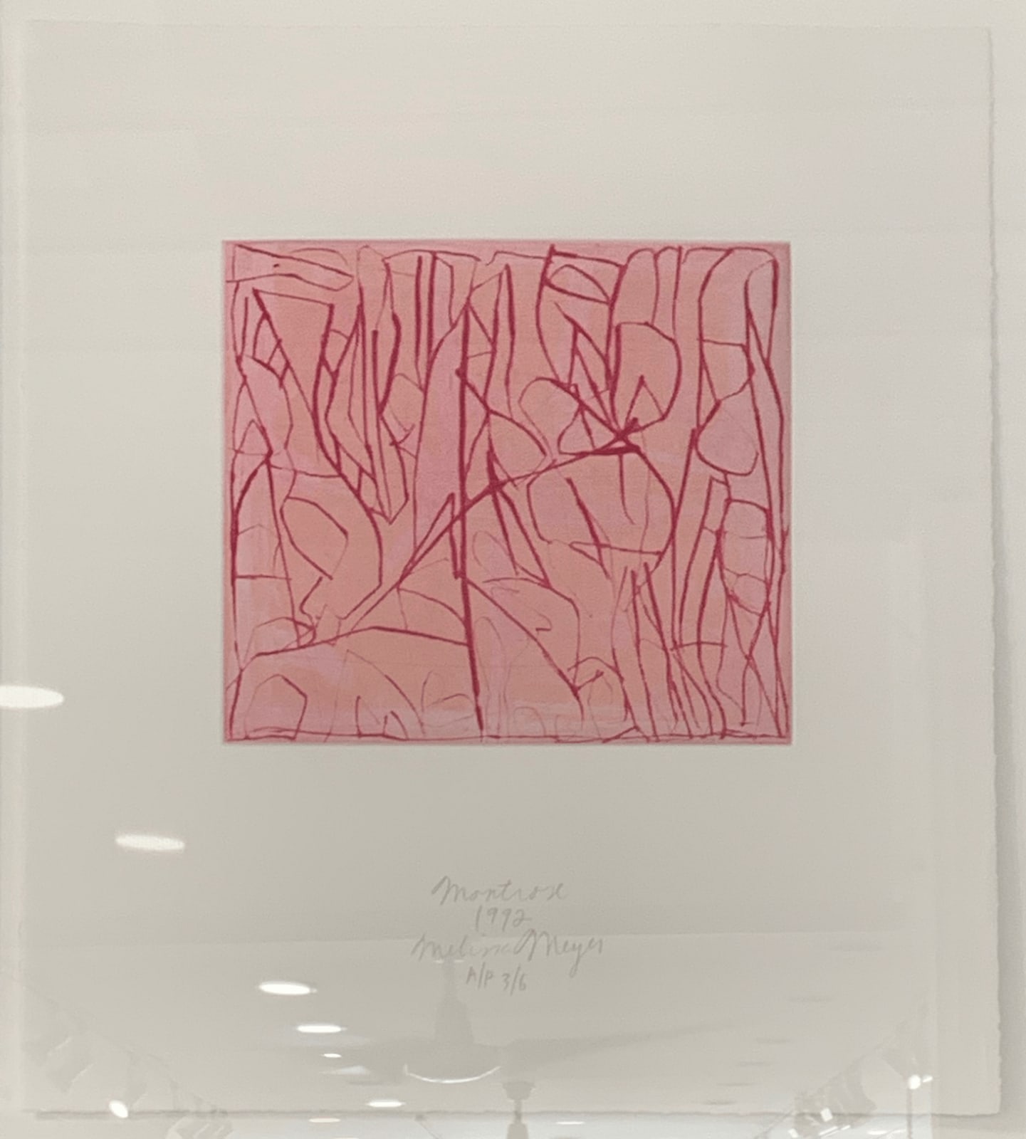 Melissa Meyer, Montrose (Survey Suite II), 1992