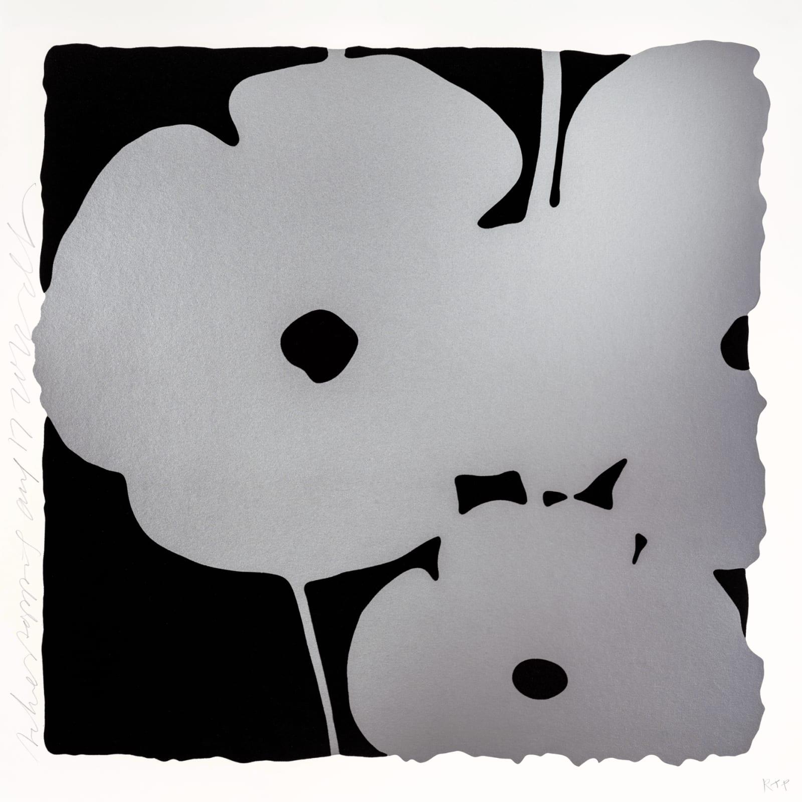 Donald Sultan, Silver Poppies, Aug 17, 2022, 2022