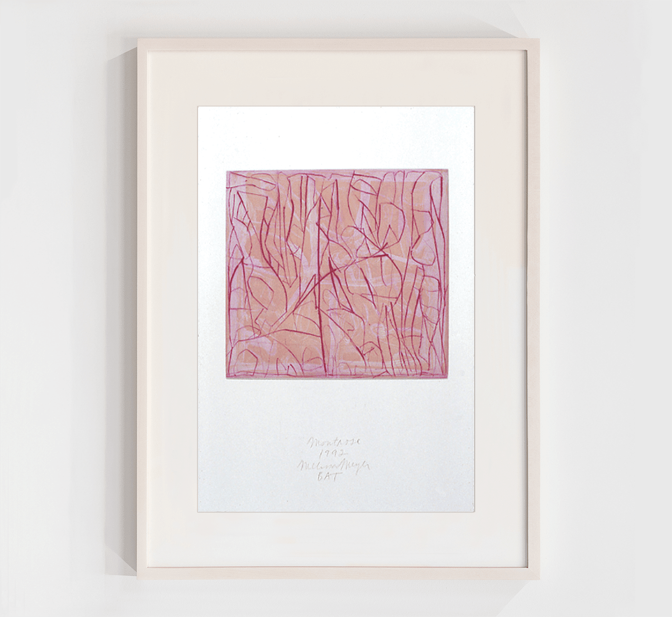 Melissa Meyer, Montrose (Survey Suite II), 1992