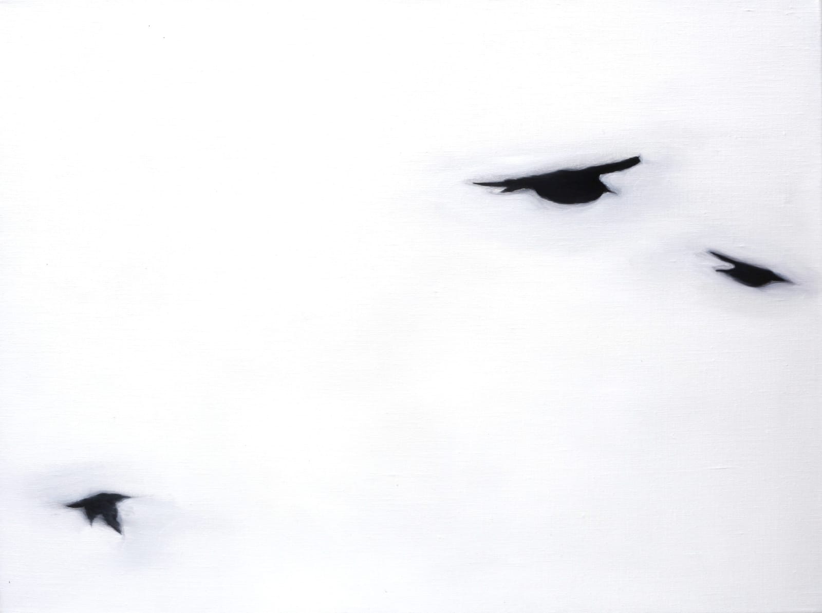 Eberhard Ross, Flight (00607), 2007
